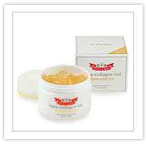 C�R�[�X�@�h�N�^�[�V�[���{ �}�`���A���t�gEX