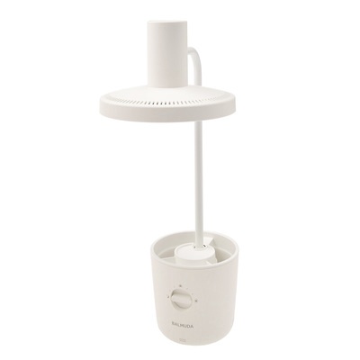  バルミューダ ザ ライト