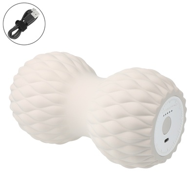 【SIXPAD】パワーローラー ツインズ