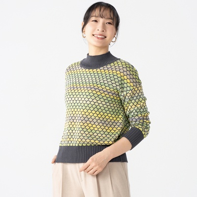 タカシマヤスタイルプリュ 五泉ニット絣使いプルオーバー