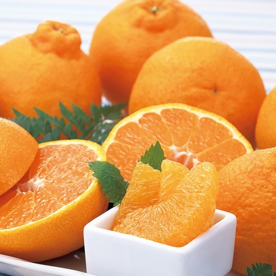 JA熊本うき デコポン2.5kg[9〜14玉]