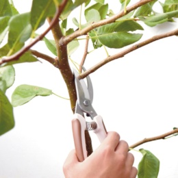 本刃付ステンレス剪定ハサミ 200mm