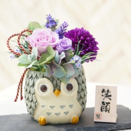 プリザーブドアレンジ ふくろう寒色系