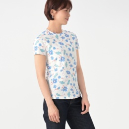 KiKKi クリアーベア天竺コットンプリントＴシャツ
