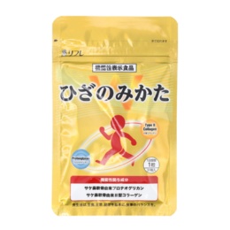 ひざのみかたW31日分