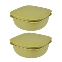 ライクイット（Like it） Like-it 蒸気で温める冷凍ごはん容器2個セット