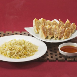 リンガーハット チャーハン6食・ぎょうざ3袋