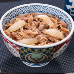 吉野家 吉野家 牛丼の具10食