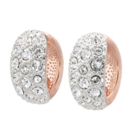 JinkaNezu ダブルフェイスフープ マグネットイヤリング