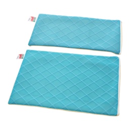 Dr.GREEN ひんやり枕マット 氷室 カバー2種セット