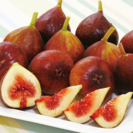 JA筑前あさくらいちじく とよみつひめ800g