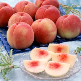 JAやまがた 山形の白桃 [秀品] 2kg