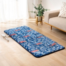 ★yukari★【新品未使用】QVC リサラーソン ホットカーペット リサラーソンあったかごろ寝マット ブランケット&クッション