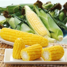 北海道産 ゴールドラッシュ 4.5kg[11〜13本]