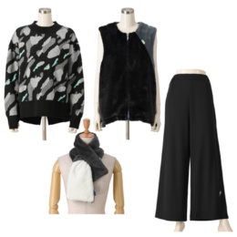  SUPERLADY 服から元気に! SUPERコーデ4点セット