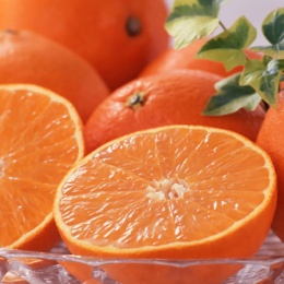 愛媛県産 紅まどんな1.7kg[6〜10玉]