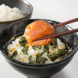 ウメタの紀州南高梅はちみつ漬4% 訳アリ 1.05kg