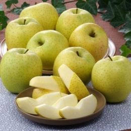 JAつがる弘前 メジャー王林 2.7kg[7〜12個]