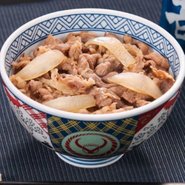 吉野家 牛丼の具17食