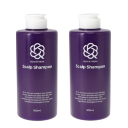 クイックテラ ALL IN ONEスカルプシャンプー500ml2個セット