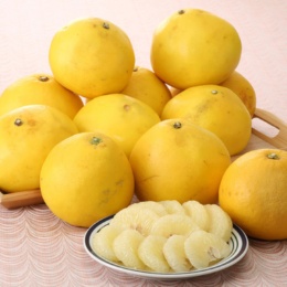 JA高知県 訳あり土佐文旦5kg