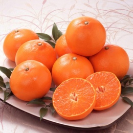 JAえひめ中央 せとか 3kg[8〜17個]