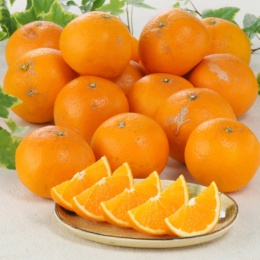 JAにしうわ ご家庭用 清見タンゴール 3kg