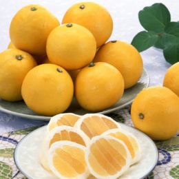 JAみやざき 日向夏 2.2kg