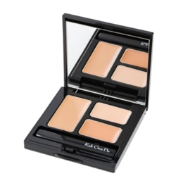 江原道 モイスチャー コンシーラー ネット限定