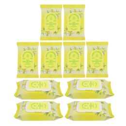  Urban Gardening ピュアスキンケアシート Plus 300枚