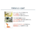 補足情報