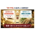 補足情報