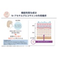 補足情報