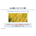 補足情報