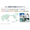 補足情報