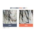 補足情報