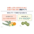 補足情報