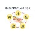 補足情報