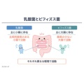 補足情報