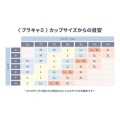 サイズ表