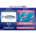 補足情報