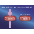 補足情報