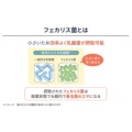 補足情報
