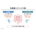 補足情報