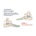 補足情報
