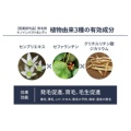 補足情報