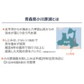 補足情報