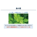 補足情報