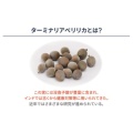 補足情報