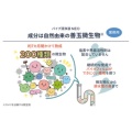 補足情報